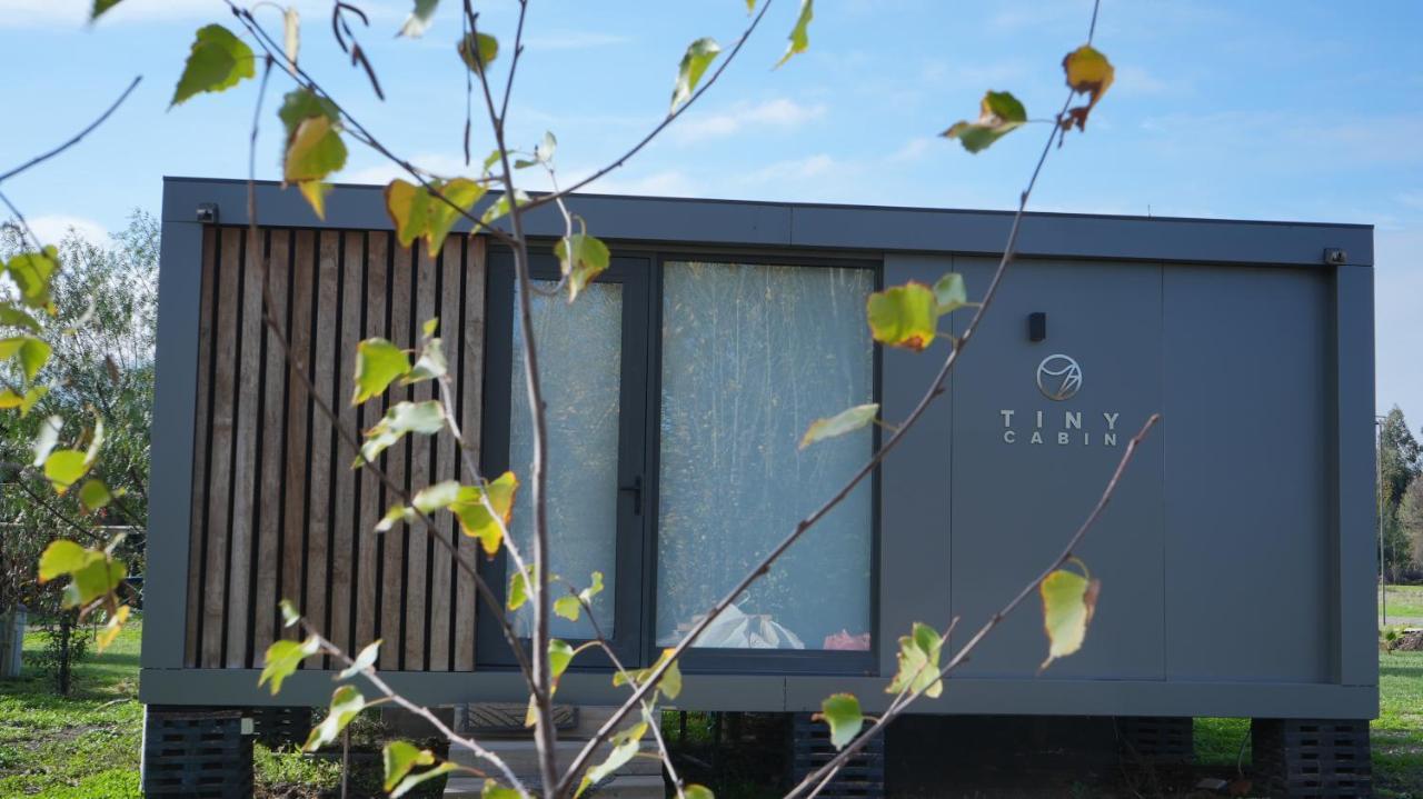 Apartament Tiny Colchagua Cabanas Y Padel Santa Cruz Zewnętrze zdjęcie